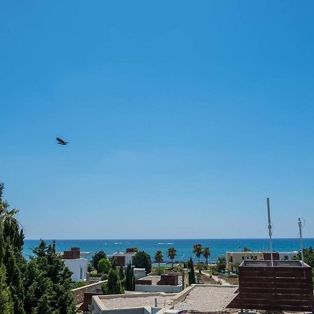 Lighthouse View Villa بافوس المظهر الخارجي الصورة