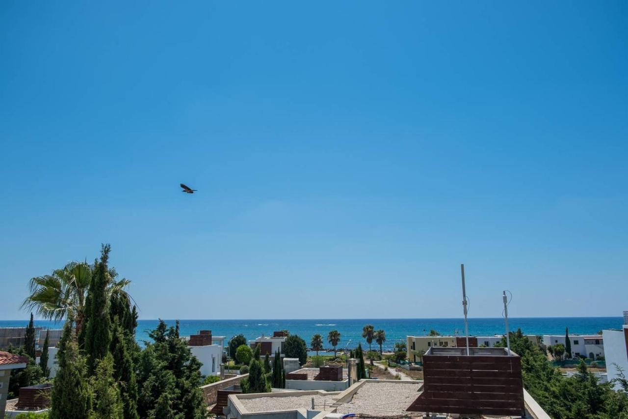 Lighthouse View Villa بافوس المظهر الخارجي الصورة
